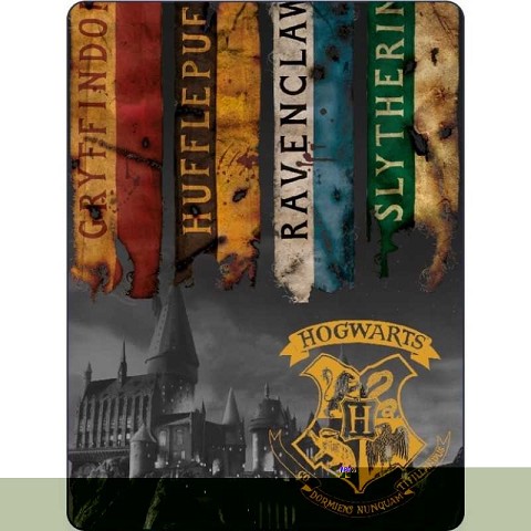 Coperta In Pile Harry Potter Casate Plaid